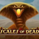 Scales of dead