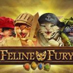 Feline fury