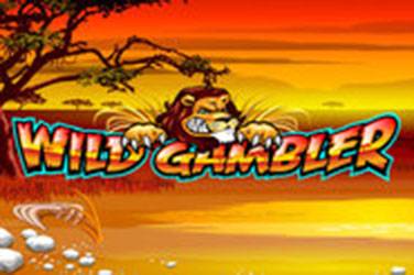 Wild gambler