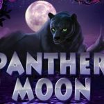 Panther moon