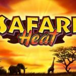 Safari heat