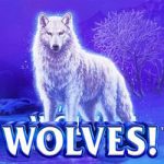 Wolves wolwes wolwes