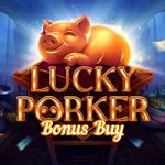 Lucky porker bonus buy