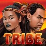 Tribe