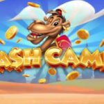 Cash camel