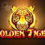 Golden tiger