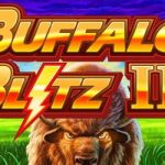 Buffalo blitz 2