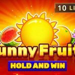 Sunny fruits: hold and win