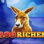 Roo riches