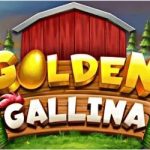 Golden gallina