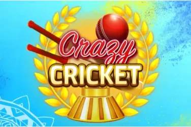 Crazy cricket